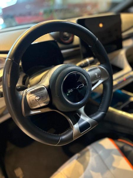BYD Dolphin Gs 180ev - foto 10