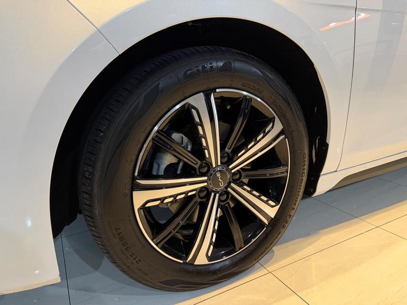 BYD King Gl Dm - foto 11