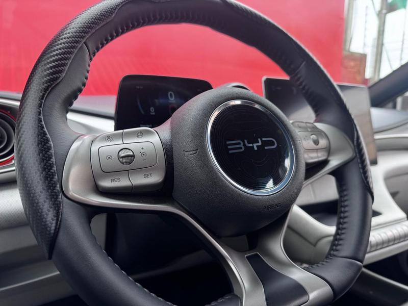 BYD Dolphin Ev Gs (elétrico) - foto 9