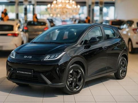 BYD DOLPHIN MINI