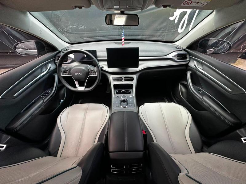BYD King Gl Dm - foto 14