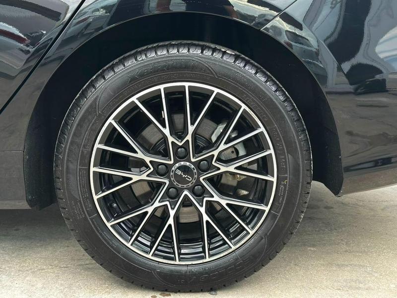 BYD King Gl Dm - foto 11