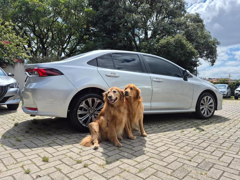TOYOTA COROLLA XEI 2.0