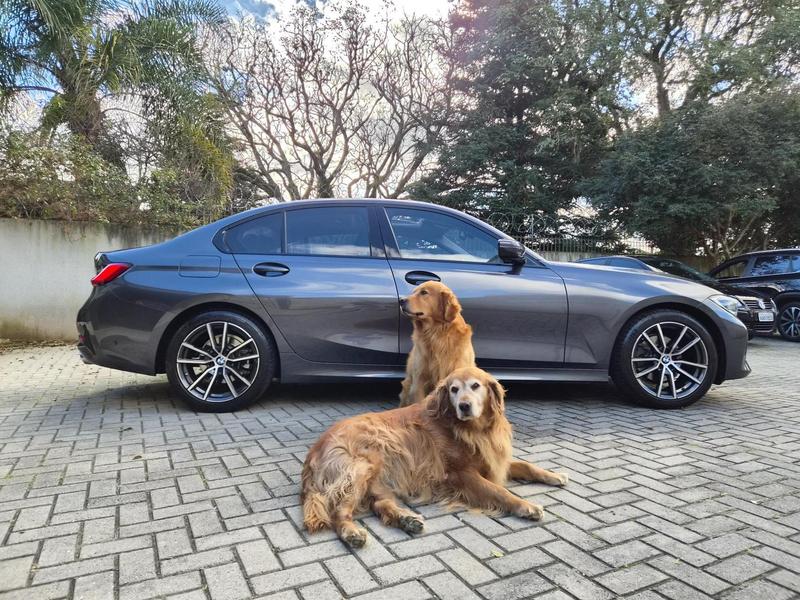 BMW 320 SPORT GP 184 CV