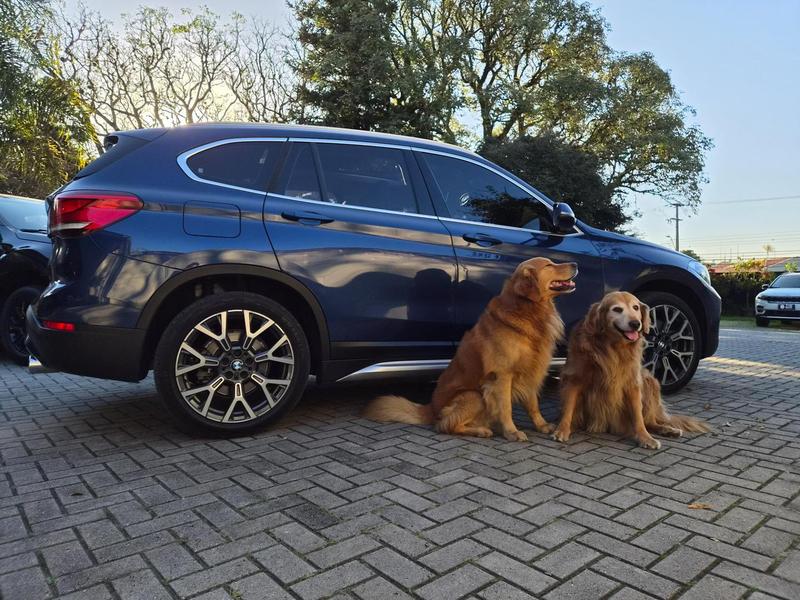 BMW X1 SDRIVE 20I X-LINE 2.0 ACTIVE FLEX