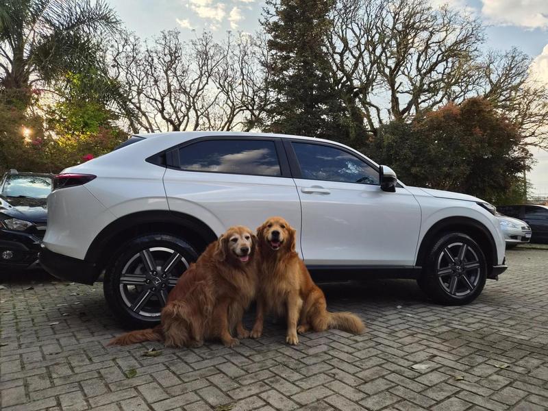 HONDA HR-V EX HS