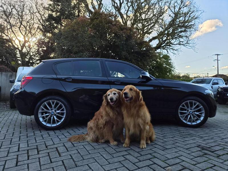 BMW 118 Sport 1 2014 à venda