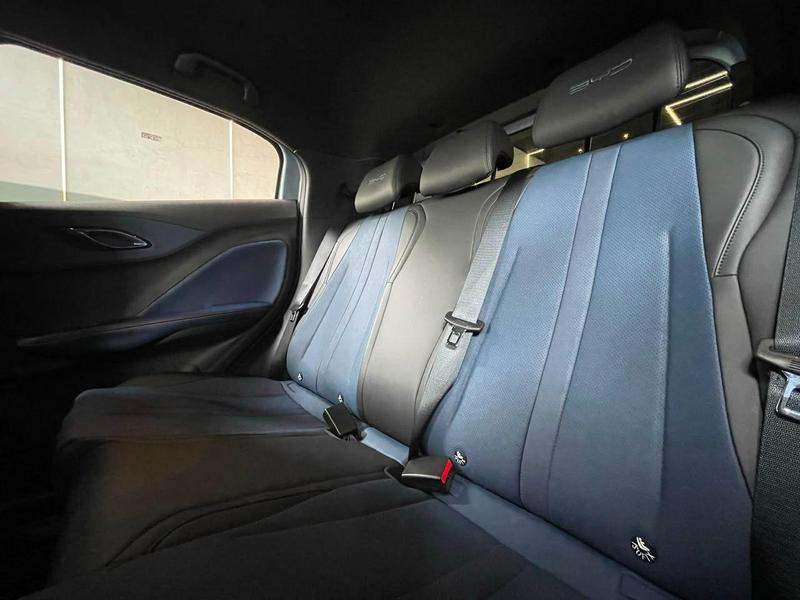 BYD Dolphin Mini Gs (elétrico) - foto 6