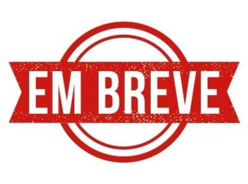 CHEVROLET S10 EXECUTIVE D 4X4