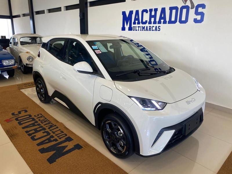 BYD Dolphin Mini 2027 à venda