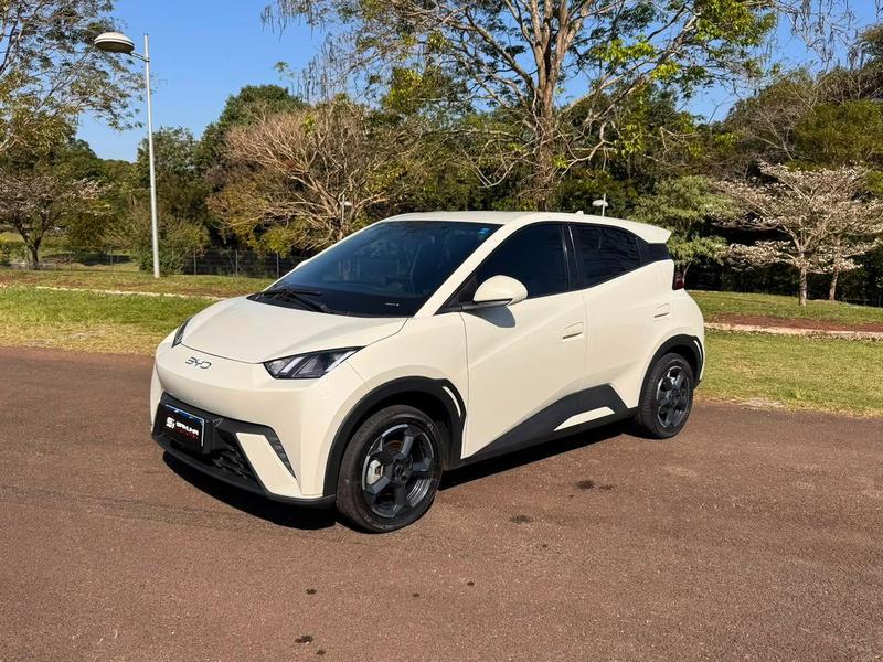 BYD Dolphin Mini Gs Ev - foto 3