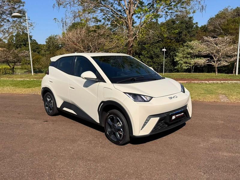 BYD Dolphin Mini 2025 à venda