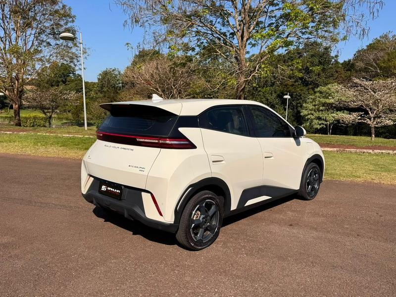 BYD Dolphin Mini Gs Ev - foto 5
