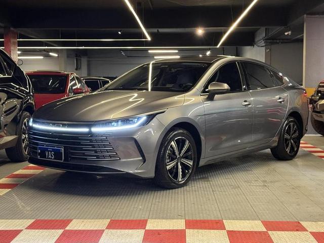 BYD KING GS DM — foto 3