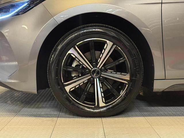BYD KING GS DM — foto 9