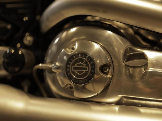 HARLEY-DAVIDSON VRSCF — foto 14