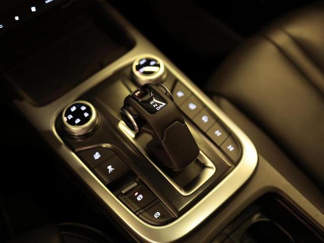 GWM TANK 300 PHEV — foto 16