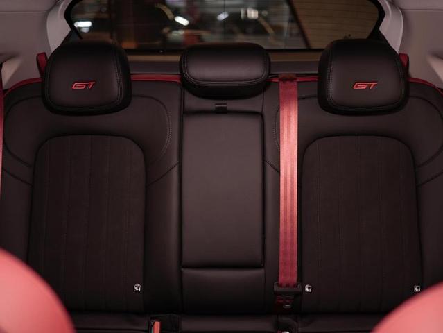 GREAT WALL GWM ORA 03 GT BEV63 — foto 13