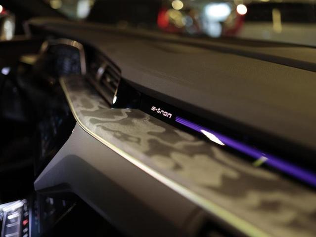 AUDI E TRON SPB — foto 20