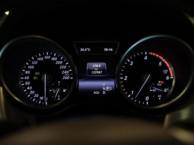 MERCEDES-BENZ GL350BLUETEC — foto 20