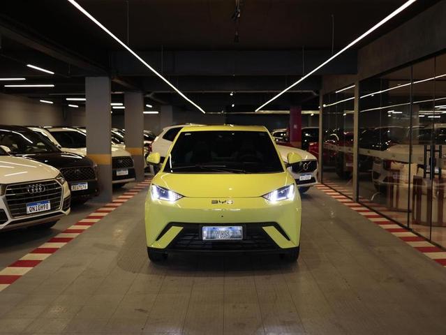 BYD DOLPHIN MINI GS5EV — foto 2