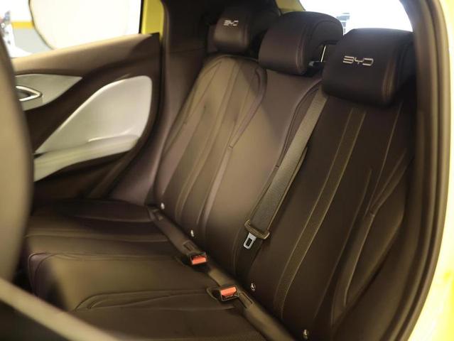 BYD DOLPHIN MINI GS5EV — foto 11