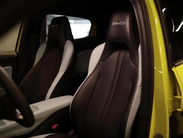 BYD DOLPHIN MINI GS5EV — foto 9
