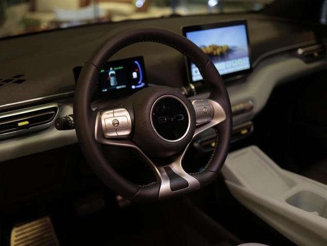 BYD DOLPHIN MINI GS5EV — foto 10