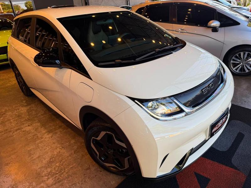 BYD Dolphin Ev Elétrico - foto 7