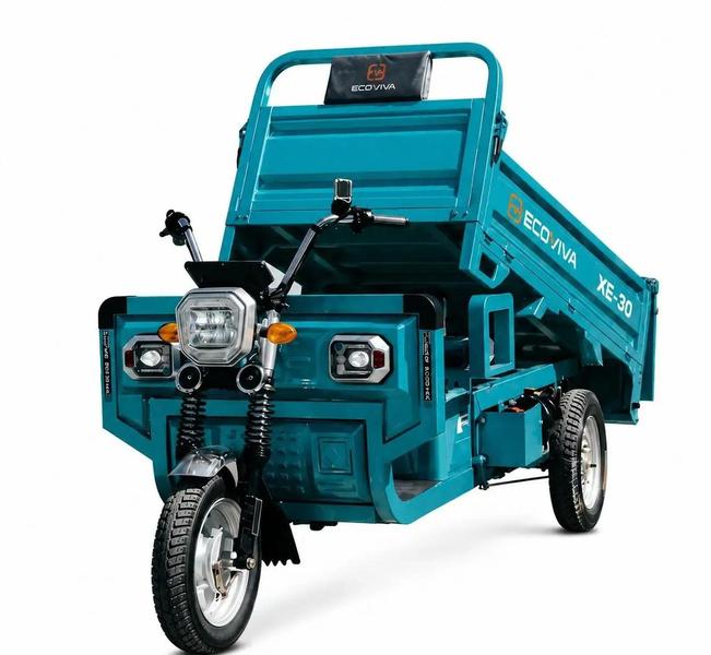 Ecoviva Triciclo 2026 à venda