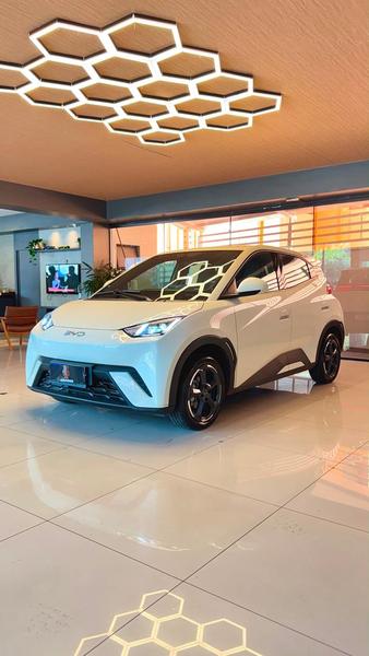 BYD DOLPHIN MINI GS EV