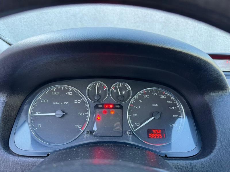 Peugeot 307 1.6 Fx Pr - foto 11