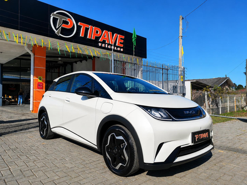 BYD Dolphin 2024