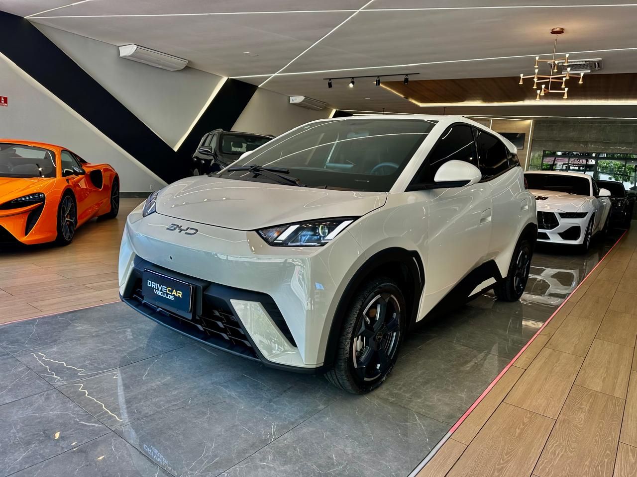 byd dolphin mini 2025