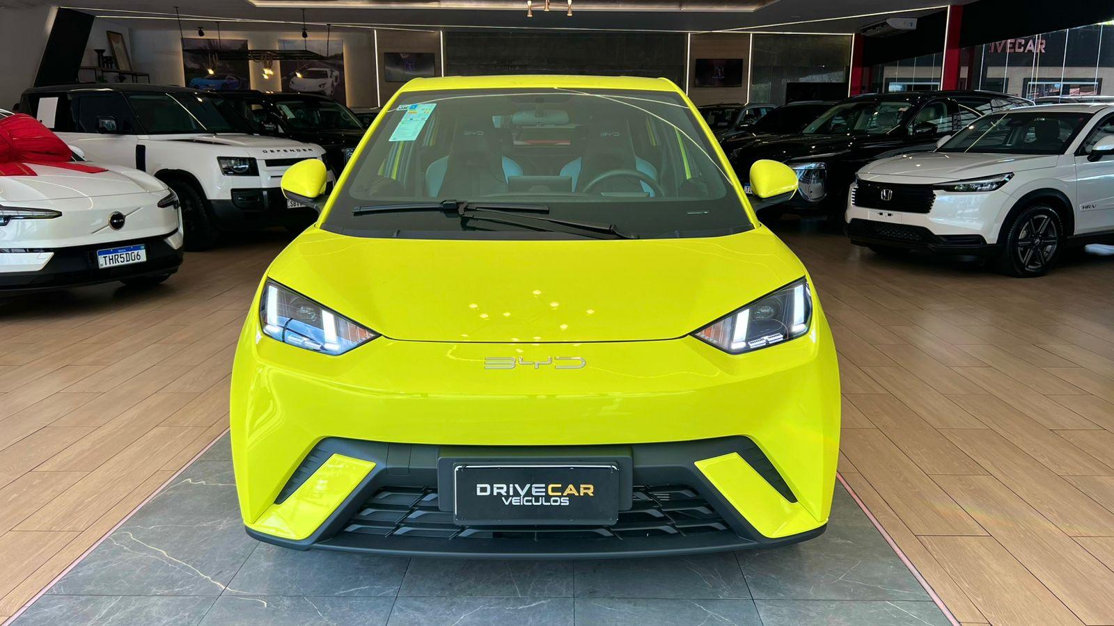 byd dolphin mini gs ev 2025