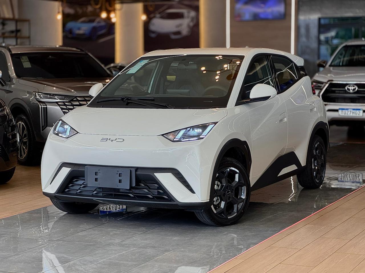 byd dolphin mini eletrico 2026